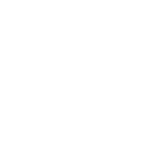 logo USAP