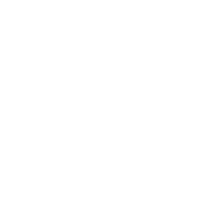 Logo Publicis 